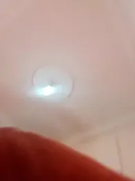 Nafas135 stripchat stream image