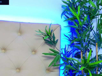 DaliyaArabian bongacams stream image