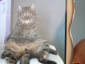 jseductiveart chaturbate stream image