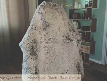 Adamova_Eva bongacams stream image