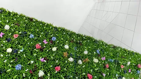 BabyAylin stripchat stream image