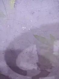 Hot_swati2 stripchat stream image