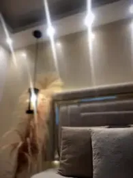 Sofia_Collins- stripchat stream image