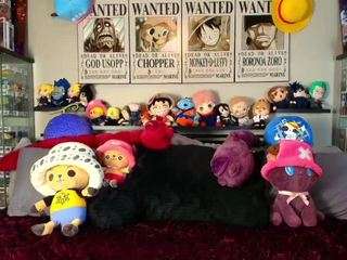 starryari69 camsoda stream image