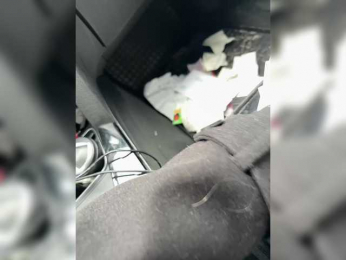 GAVKA_ bongacams stream image