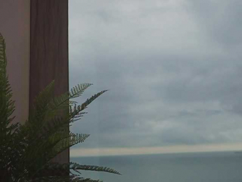 katyerave bongacams stream image