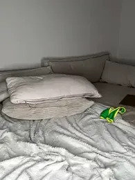 Sugarlina stripchat stream image