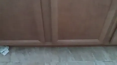 AverageRose stripchat stream image