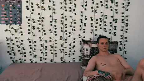 shaameless stripchat stream image