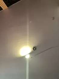 Rose-euphoria stripchat stream image