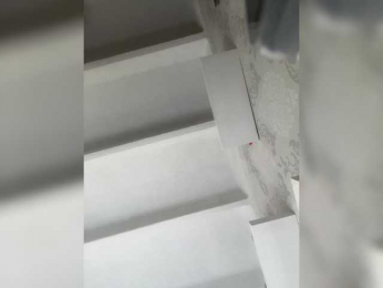 SallyeLeins bongacams stream image