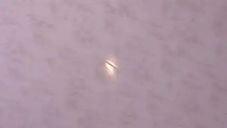 Dear-Venus stripchat stream image