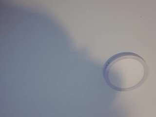 nina-rose camsoda stream image