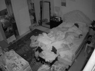 voyeurcam-hornyhostel-02 camsoda stream image