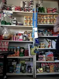 sammyqueenx21 stripchat stream image