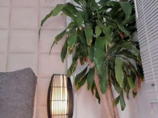 zhuyhong camsoda stream image