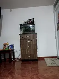 Bonnie_willliams19 stripchat stream image