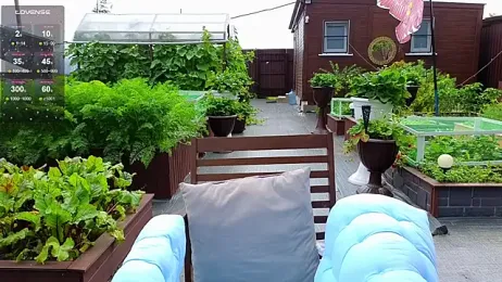 Misss_Vikk stripchat stream image