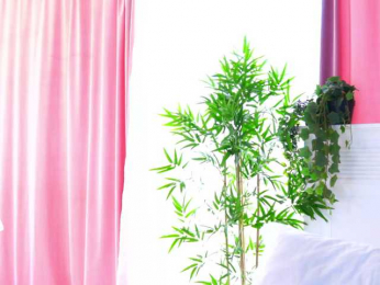 ArtTeasee bongacams stream image