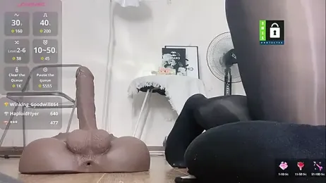 momo-5952 stripchat stream image