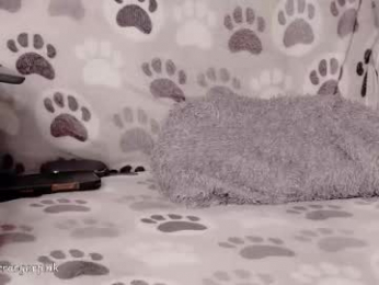 power_ranger_pink chaturbate stream image