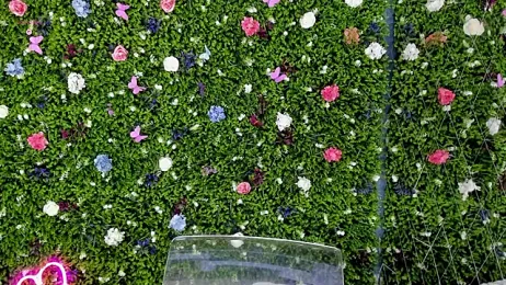 BabyAylin stripchat stream image