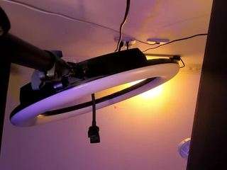 apotheosiss camsoda stream image