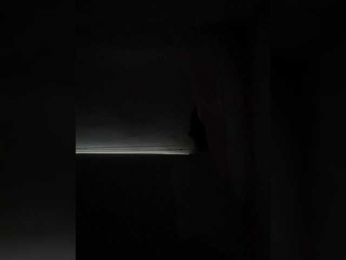 SallyeLeins bongacams stream image