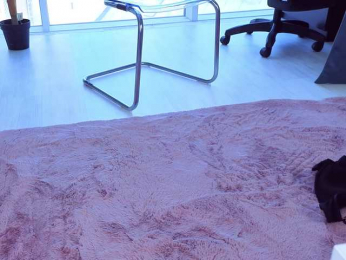 SpoilM3Mor3 bongacams stream image