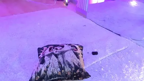 zephirahabney stripchat stream image