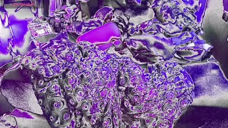 bukkakebae1 stripchat stream image