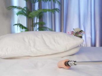 Karollovea bongacams stream image