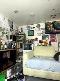 TrenaAnne stripchat stream image