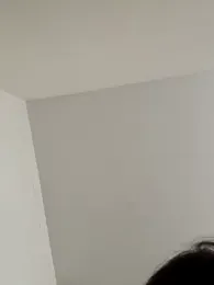 alicee16 stripchat stream image