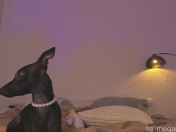 top_of_passion chaturbate stream image