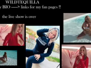 wildtequilla chaturbate stream image