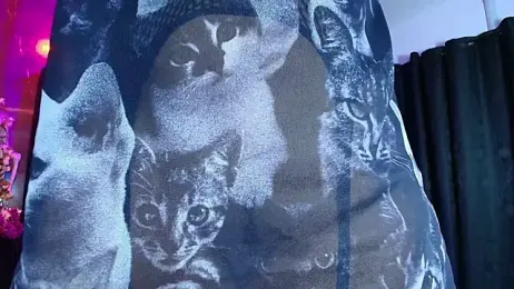 AlexHoe_ stripchat stream image