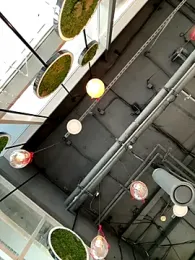 NewLale stripchat stream image