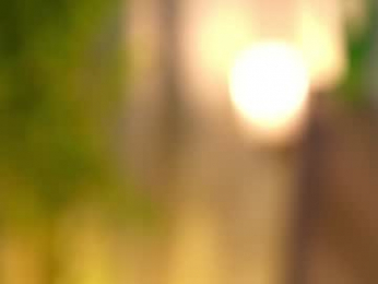 pafosstar chaturbate stream image