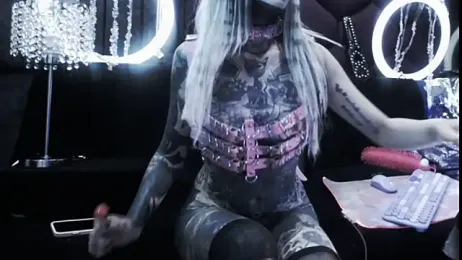 TyphoidMary stripchat stream image