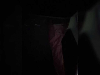 SallyeLeins bongacams stream image