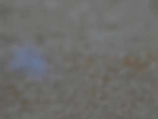 annawelk camsoda stream image