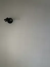 teddy04 stripchat stream image