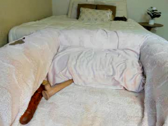 sexxylaurab chaturbate stream image