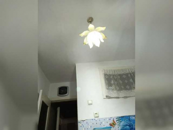 NeZabudka- bongacams stream image