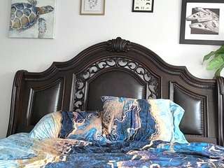 ihacoebrae camsoda stream image