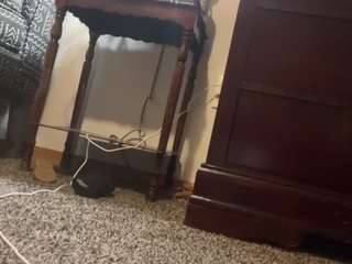 cce9388 camsoda stream image