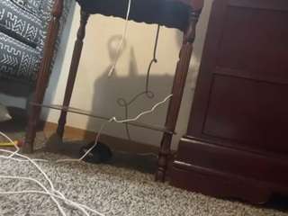 cce9388 camsoda stream image