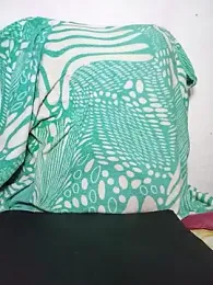 dandilaa stripchat stream image