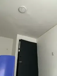 Arilw stripchat stream image